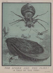 A Aranha e as Moscas! (cor litho) de Matthew