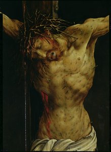 A crucificação do retábulo de Isenheim, detalhe do torso de Cristo, c.1512-16 óleo no detalhe do painel
