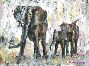 Família do elefante africano de Matthys Moss