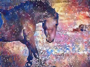 Salpico de Cavalo Vibrante