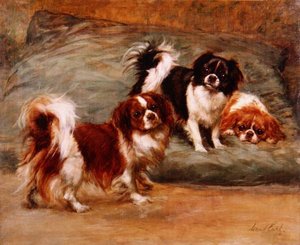 Três Rei Charles Spaniels em uma Almofada
