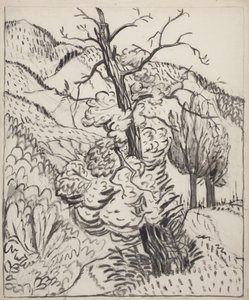 Árvore na encosta de uma montanha, c.1930 (pincel, tinta e carvão sobre papel de trama branco) de Maud Hunt Squire