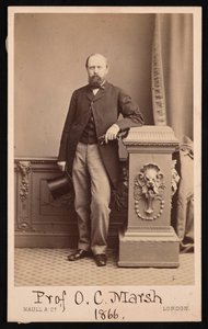 Retrato de Othniel Charles Marsh 1831-1879, 1866.