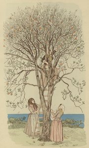 Apanhar laranjas no Mediterrâneo (cor litho) de Maurice Charles Mathieu Bonvoisin