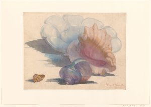 Três conchas com um prato plissado Delft de Maurits van der Valk