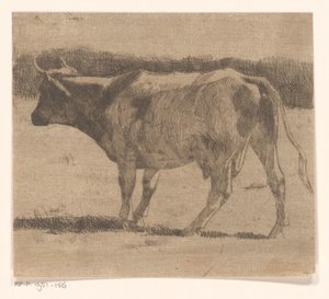 Vaca num prado