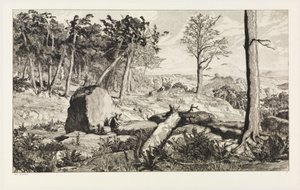 Simplicius na solidão da floresta (Intermezzi, opus IV, prancha 10) de Max Klinger