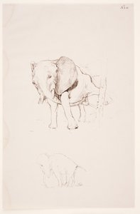 "Weg der Befleckung" - Elephant atende a sua necessidade de emergência. 2 estudos de Max Klinger