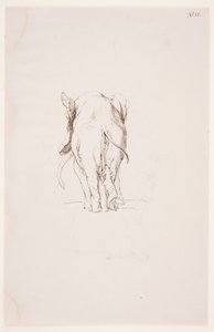 "Weg der Befleckung" - "Elefante e cão farejador" de Max Klinger