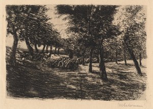 Rebanho de ovelhas sob árvores de Max Liebermann
