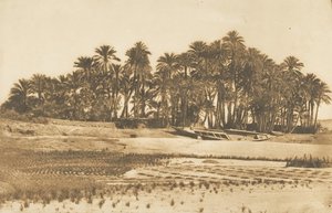 Vista da Ilha Elefantina, em frente a Aswan, 1849-50. de Maxime Du Camp