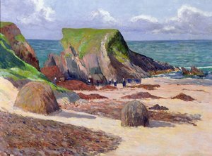 Colheita de Algas Marinhas, 1891
