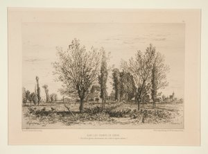 Dans les champs de C?non (Nos Campos de C?non) de Maxime Lalanne