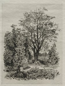 No meu jardim de Bordeaux de Maxime Lalanne
