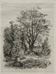 Meu jardim. de Maxime Lalanne