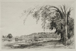 Richmond de Maxime Lalanne