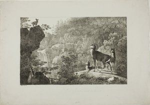 O veado e a camurça de Maximilian Josef Wagenbauer