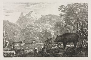 Javali, gato selvagem e lince de Maximilian Josef Wagenbauer