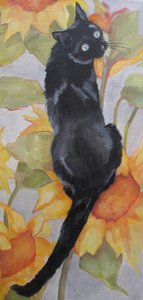 Gato preto entre girassóis de Maxine Shore