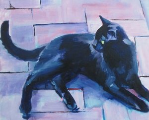 Gato Preto - Piso Roxo de Maxine Shore