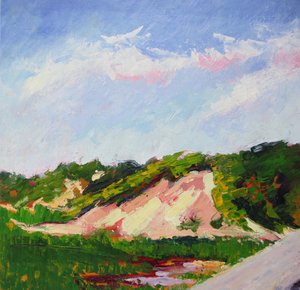 Paisagem de dunas vibrante de Maxine Shore