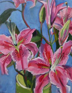 Lírios rosa vibrantes de Maxine Shore