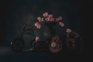  de May G