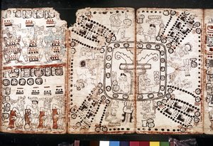 CIVILIZAÇÃO MAYA: Codex Tro-Cortesiano, meados do século XV (fibra de casca de árvore-vegetal) de Mayan Mayan