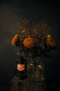Brilho das flores de outono de Mayra Pama