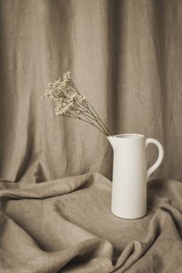 Natureza-morta floral minimalista de Mayra Pama