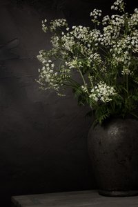 Natureza-morta com flores silvestres brancas de Mayra Pama