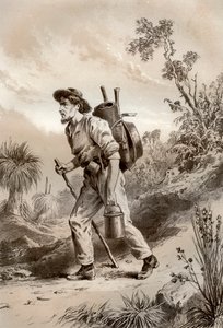 Coveiro no vagabundo, Austrália, 1879.