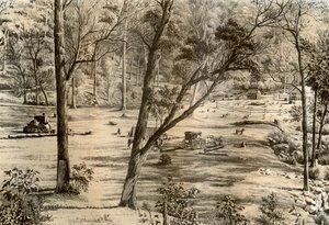 Cabana do seletor livre, Austrália, 1879