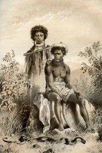 Maoris e serpente de tapete, Nova Zelândia, 1879