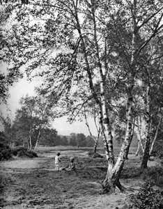 Putney Heath, Londres, 1926-1927 de McLeish