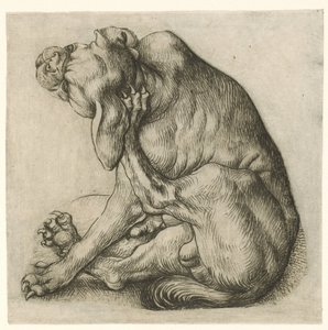 cão arranhando de Meester van het Amsterdamse Kabinet