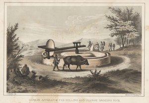 Aparelho chinês para descascar e moer arroz grosso, 1855 de Meffert