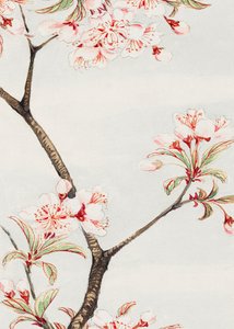 A cerejeira Sakura entre 1870 e 1880 de Megata Morikaga