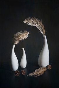  de Mei Su