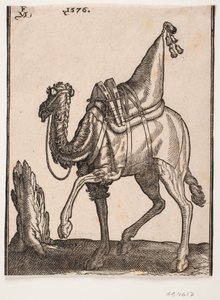 Um dromedário selado, perfil para a esquerda, com a cabeça do animal virada para longe do dono de Melchior Lorck