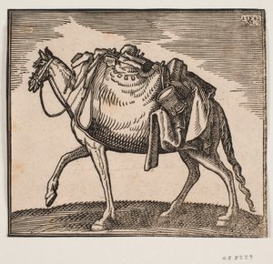 Cavalo muito embalado de Melchior Lorck