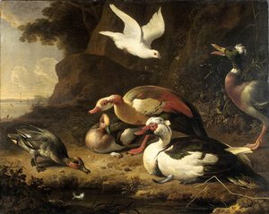 Patos de Melchior d