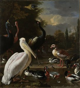 Um pelicano e outras aves perto de uma piscina, conhecida como "A Pena Flutuante", c.1680