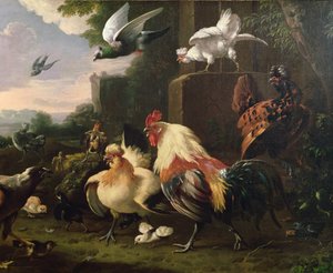 Um galo e outras aves em uma paisagem de Melchior de Hondecoeter