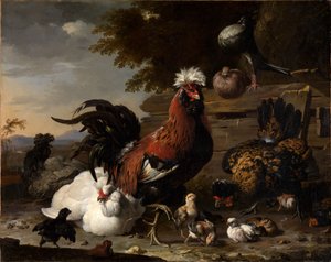 A paz no galinheiro de Melchior de Hondecoeter
