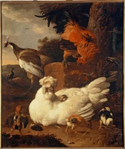 M. de Hondecoeter, bebê com filhotes de Melchior de Hondecoeter