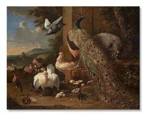 Menagerie, c.1680