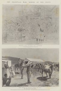 A Guerra do Transvaal, Cenas na Frente