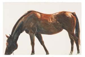 Sem título, 2018 (aguarela sobre papel) de Michael Frith
