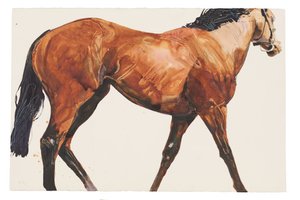 Sem título, 2018 (aguarela sobre papel) de Michael Frith